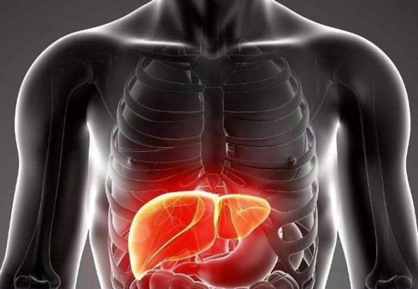 怎样保护好我们的肝脏有这6个表现的人要小心肝