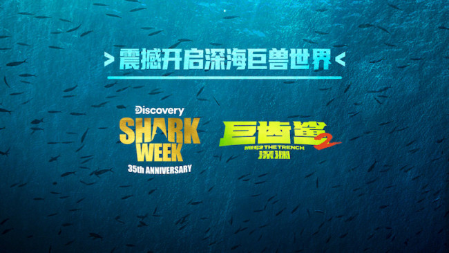 《十大网投平台信誉排行榜首页》X Discovery鲨鱼周35周年联动