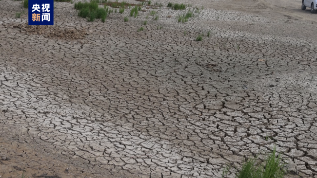 鄱阳湖水文水资源监测中心发布干旱黄色预警