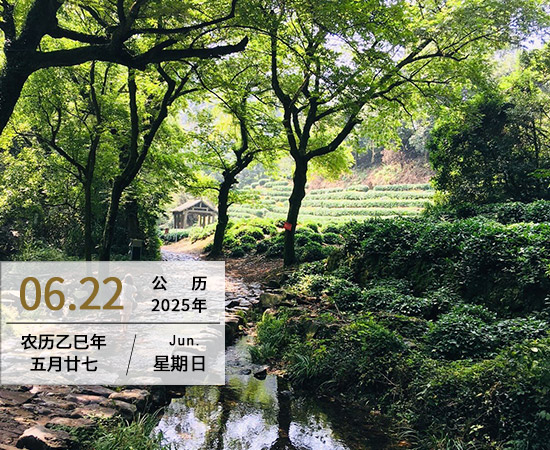 品味孤独
