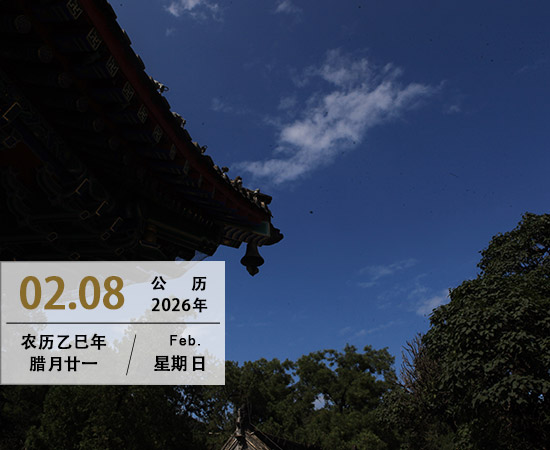 一念清净 心莲绽放