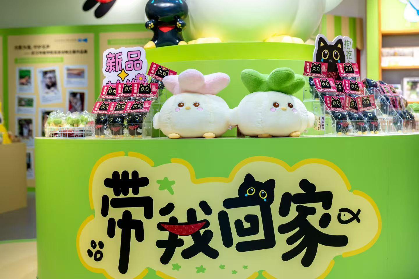 蒜鸟+动物保护，“带我回家”快闪店亮相江城