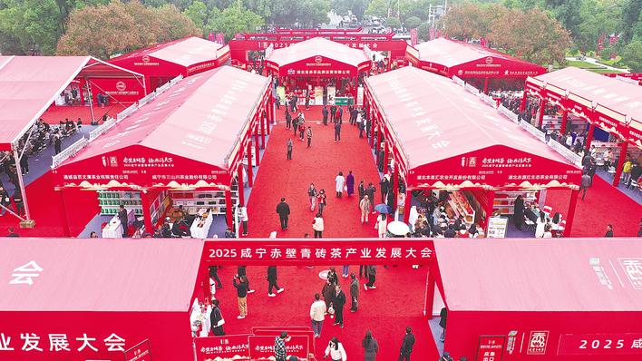 轻量的产品 年轻的调性 花样的口感  赤壁青砖茶泡出“潮滋味”