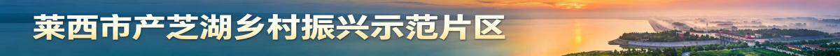 青岛莱西水集街道：开展青少年心理健康公益讲座 筑牢青春成长心理防线