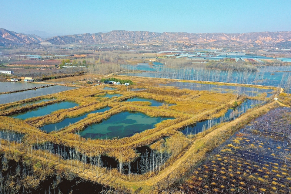 生态向好 美景如画