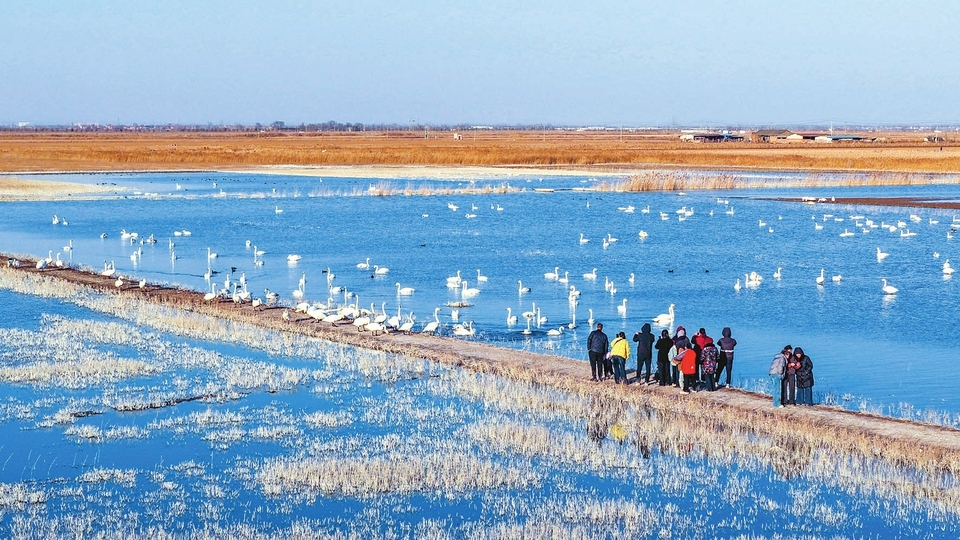 绘就美丽山西新画卷