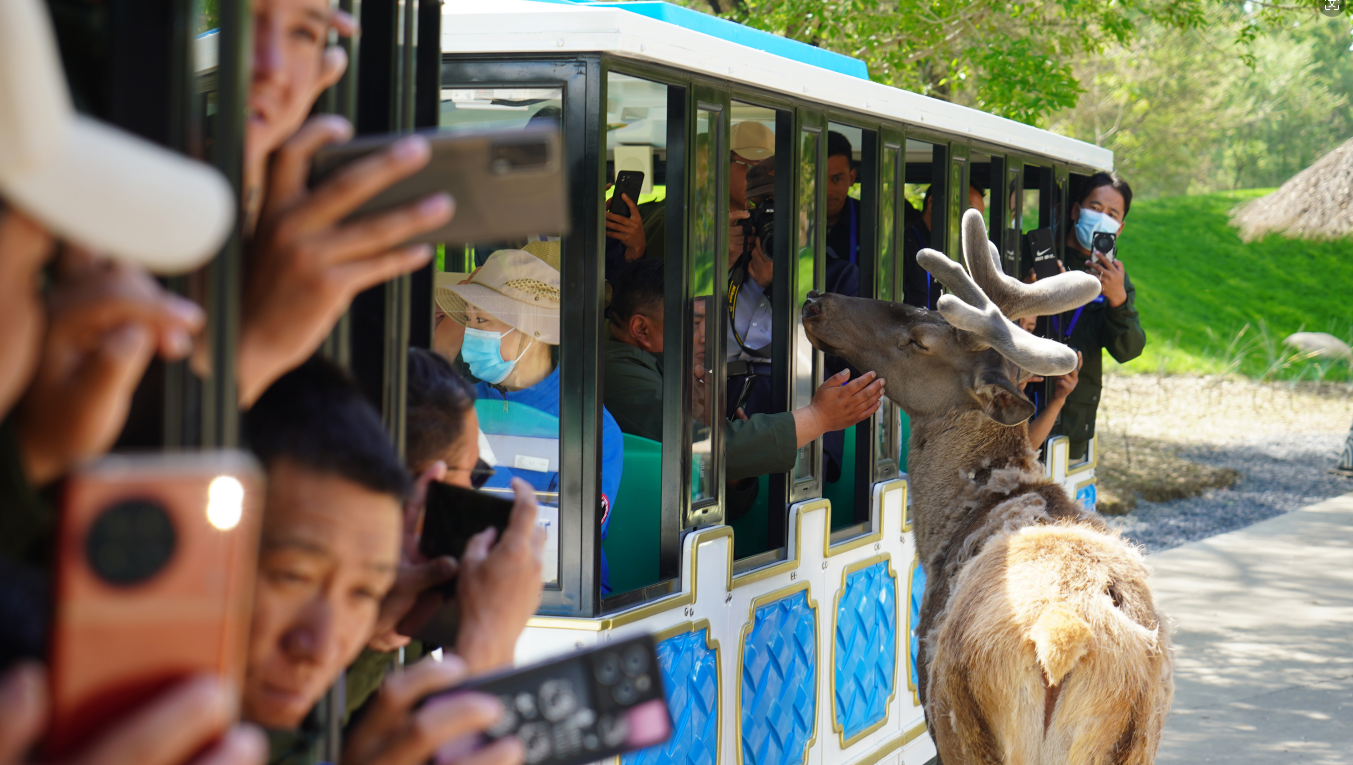  Tibetan Wildlife Conservator: Meet Animals in Beijing