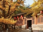 Roaming Shanxi: An Encounter with Autumn Hues (Taiyuan Chapter)