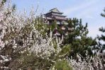 Spring Rambles in Shanxi: Jinzhong