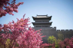 Spring Rambles in Shanxi: Datong