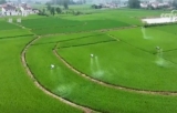 科学“慧”管夯实秋粮丰收根基