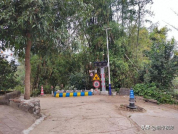 村民攒钱为村道装交通设施 五年坚持获赞