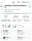 老干妈的“后陶华碧时代”怎么办 低调稳增长