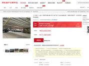 当地回应称姚振华举报不实 拍卖正常进行