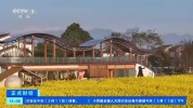 油菜花田里吃火锅 解锁赏花季全新体验