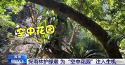 雨林探“花园” 来感受海南的“绿色脉搏”