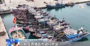 海警依法查处两起破坏海洋生态违规案件