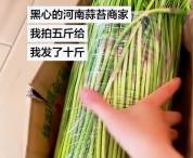 河南蒜苔 再说原地址给你补五十斤 硬核实在暖人心