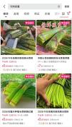 蒜农犯难：请人抽1斤蒜薹倒贴钱 蒜薹滞销难题凸显
