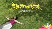 青年不再需要被定义 独木可成林