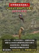 商人疑被鳄鱼吞食 解剖发现内有6双鞋 或涉多起袭击