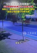170万的马跑了5个人狂追 当事人发声：追了3小时在前方堵截才抓住