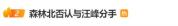森林北否认与汪峰分手 私人问题无需猜测
