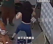树枝砸落女子聚餐抱碗逃命 朋友发声：她平常就爱吃
