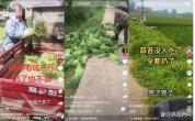 谁在炮制“蒜薹买5斤送10斤”段子 虚构苦难博流量