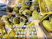 商户将发霉长毛榴莲处理后低价售卖 市监部门介入调查