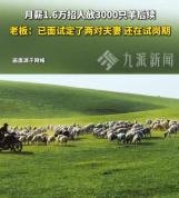 月薪1.6万放羊已有两对夫妻上岗 牧区生活引关注