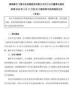 公司未履行生效判决董事长被拘留 母子公司权力纷争升级