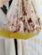 雪糕是糖油混合物 一支堪比一碗饭 解暑佳品or热量炸弹?