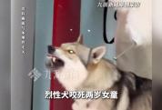 烈性犬咬死2岁女童主人赔25万 悲剧引发法律思考