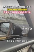 男子开车发现倒车镜冒出一条蛇 消防员助其解围