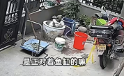 2岁男孩栽进鱼缸20秒自救成功 家长提醒注意安全隐患