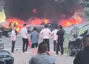 老人点燃杨絮 20辆新能源车被烧毁 杨絮火灾引发警示