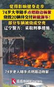 老人点燃杨絮 20辆汽车被引燃 健身走步引发意外