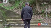 男子养309条蟒蛇 案值超3000万 非法饲养触法网