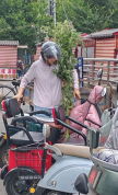 专家详解艾草药用价值：它不仅提供仪式感，药用价值也不少