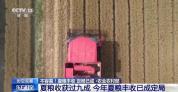 这场丰收保卫战是如何打赢的 抢晴天赶进度保烘干