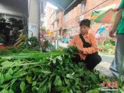 南宁街巷草药飘香 端午习俗引市民选购