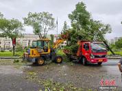 黄冈遭龙卷风重创：4人死亡1人失联 救援力量全力搜救
