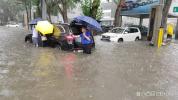 沈阳暴雨后一车辆上爬满蜗牛 城市排水系统受考验