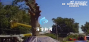 美国两兄弟修树时从14米高坠落 监控：升降臂折断 两人被甩出