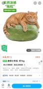 盒马猫咪抱冬瓜宣传图被吐槽照骗 反向带货引发热议