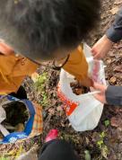 情侣捡菌子被本地小孩哥扔掉八成 AI不敌本地智慧