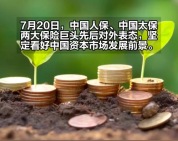 两大险资巨头发声：坚定看好中国资本市场发展前景