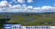 暑期游持续升温 解锁草原高原清凉夏日多元玩法