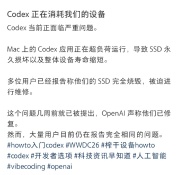 Codex正在消耗我们的设备：本来以为AI替人干活，人可以躺着
